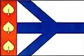 Flag of Rozsochatec