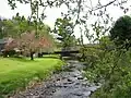 Rule Water