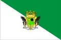 Flag of Santa Brígida