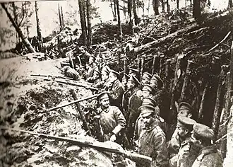 1914, Russian Caucasus Army at Sarikamish