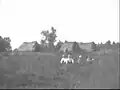 Children in the heath with sod houses