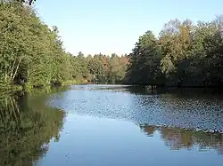 Scoulton Mere