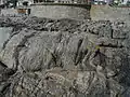 Sea Point contact zone mixed rocks