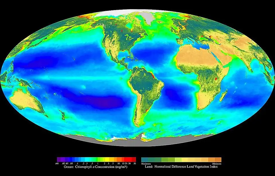 Image 12Global oceanic and terrestrial phototroph abundance, from September 1997 to August 2000. As an estimate of autotroph biomass, it is only a rough indicator of primary production potential and not an actual estimate of it. (from Ecosystem)