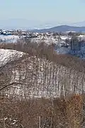 Oglađenovac - panorama