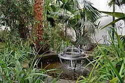 Inside glass house