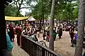 Festival attendees in costume
