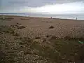 Sandwich Bay