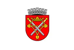 Flag of Sibiu