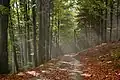 Knights' hiking trail