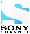 Sony Channel Logo used from 2016 to 2019