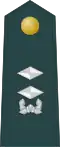 Middle lieutenant