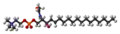 Ball-and-stick model of sphingomyelin