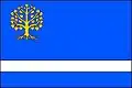 Flag of Stará Paka