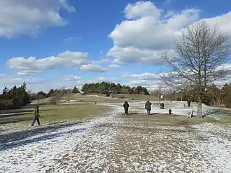 Landscape