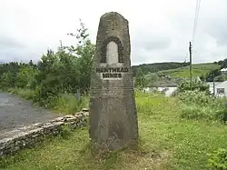 text