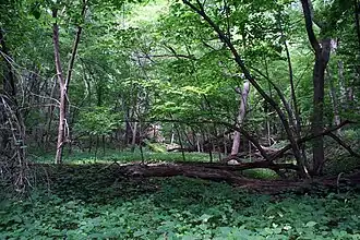 Parklands
