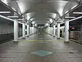 Cosmosquare Station