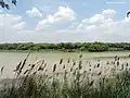 Sanctuary's view from Midway of Sukhna lake, Chandigarh