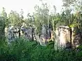 Adršpach-Teplice Rocks as the "Death woods"