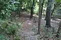 Trails