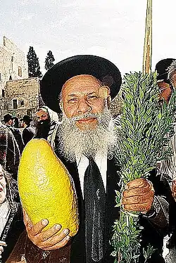 At the Western Wall