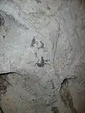 Taíno petroglyph in Los Haitises 02 by Line1
