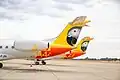 African Grey Parrot, fastjet mascot on the tail of an Embraer ERJ 145 aircraft, parked at Harare's RG Mugabe International Airport