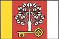 Flag of Tatce