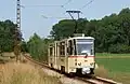 KT4D