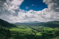 Tea plantations of Devikulam. Taken from National Highway 85