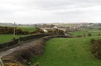 The Ballylucas Road proceeding towards the village of Ballynoe (2011)