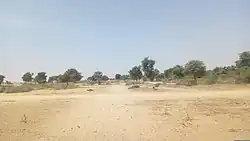 Landscape