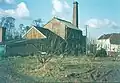 East Kent narrow-leaved elms above Tonge Mill, near Sittingbourne (1969)[5][31]