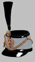 ash-grey 6th, 11th, 15th and 16th Hussars