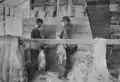 Two flax workers scutching the fibre