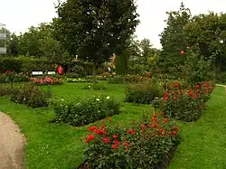 Rose beds