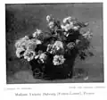 A Basket of Flowers by Victoria Dubourg
