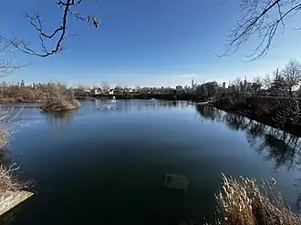 View of Reserve