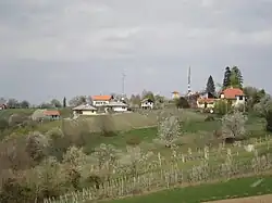 Vučetinec