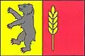 Flag of Vykáň