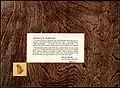 Waikiki Room Drink Menu - DPLA - 0bf2a873a4d849fee669b5a5aed76562 (page 3)