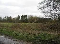 Warnborough Green
