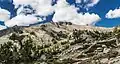 Washeshu Peak in summer