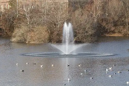 Water Fountain