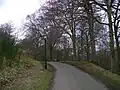 Way through the woods