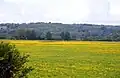 Wolvercote Common and Port Meadow