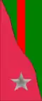17th Infantry Division "Pavia" medics