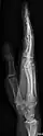 Lateral projection