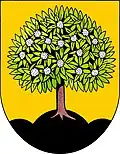 Coat of arms of Nasavrky